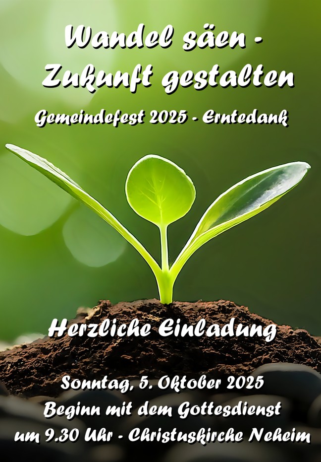 Flyer web25