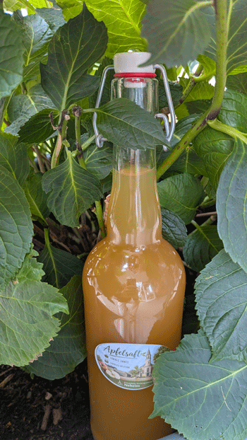 Apfelsaft